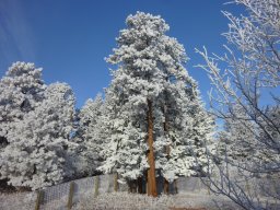 CasaDiaz Cool Pics From House